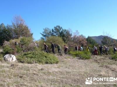 Senderismo Hayedo de Montejo (Senderismo Madrid-Senderismo Guadalajara-Senderismo Segovia); la rioja